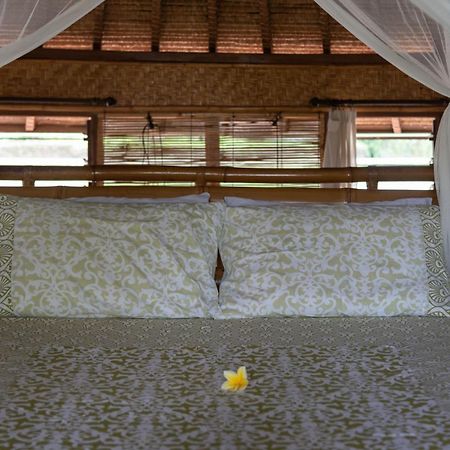 Bali Firefly BnB Ubud Rom bilde