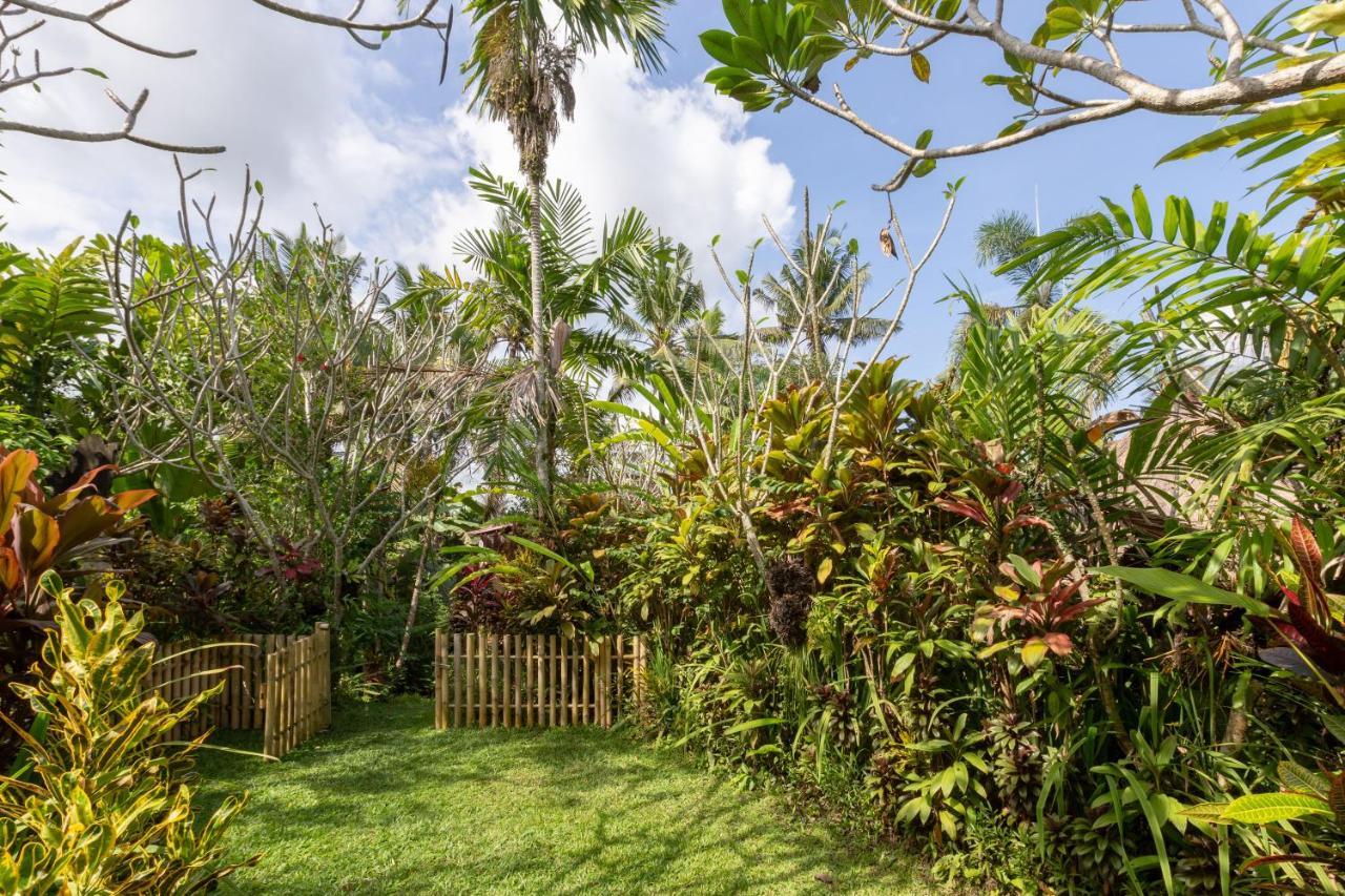 Bali Firefly BnB Ubud Eksteriør bilde