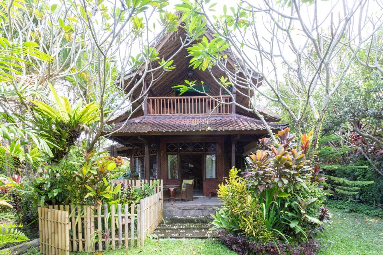 Bali Firefly BnB Ubud Eksteriør bilde