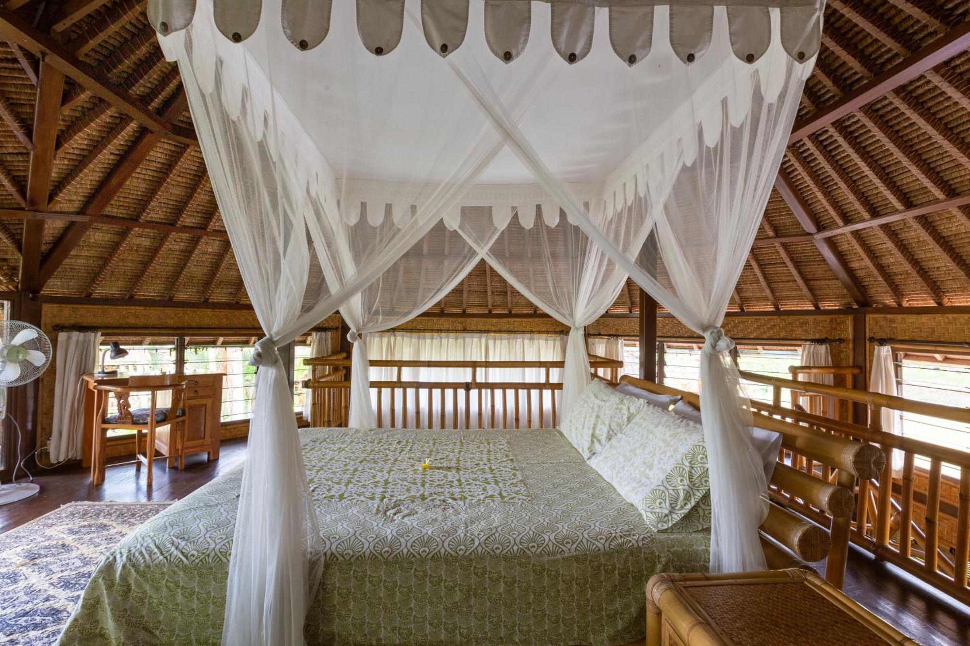 Bali Firefly BnB Ubud Rom bilde
