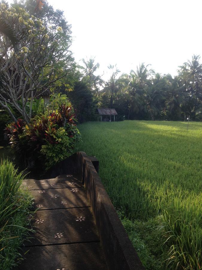 Bali Firefly BnB Ubud Eksteriør bilde
