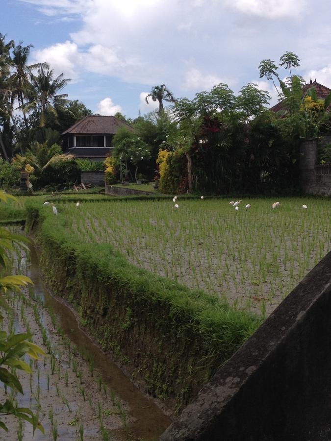 Bali Firefly BnB Ubud Eksteriør bilde